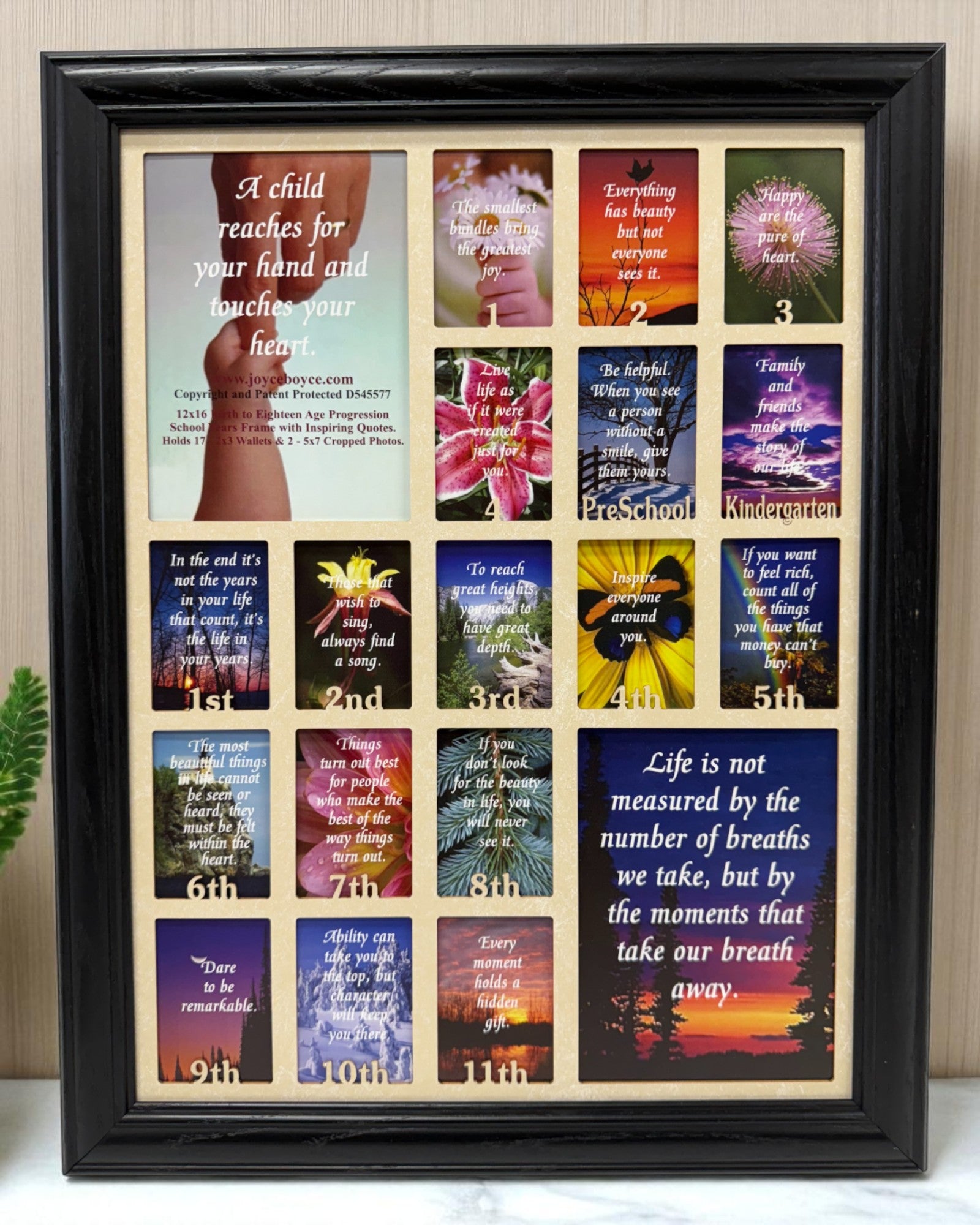 School Years Picture Frame | Birth to Senior (Numbers) Wall Hung