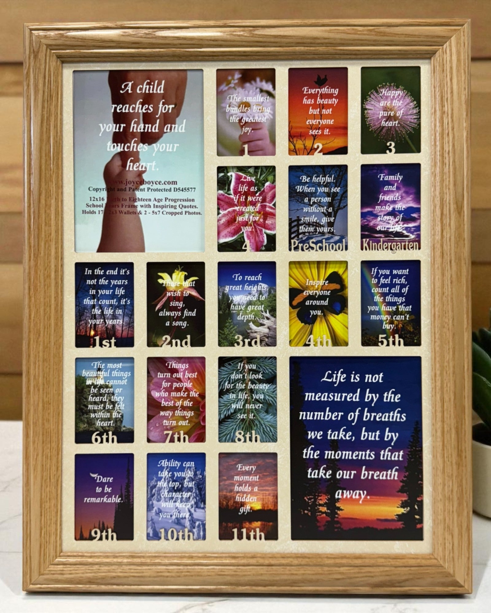 School Years Picture Frame | Birth to Senior (Numbers) Wall Hung
